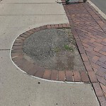 Public Trees at 42.35 N 71.13 W