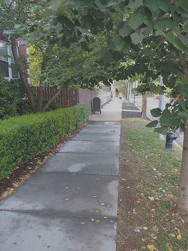 Photo_20190712_185648