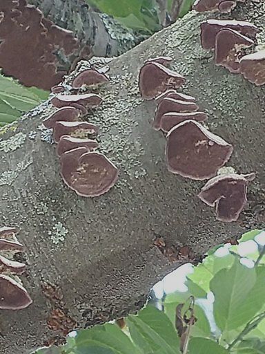 Photo_20190625_122142