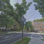 Public Trees at 129 Babcock St