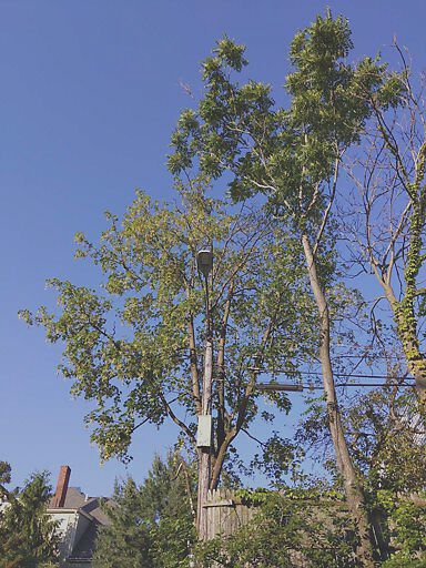 Photo_20190624_065856