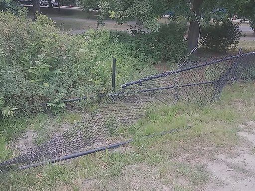 Photo_20180728_062729