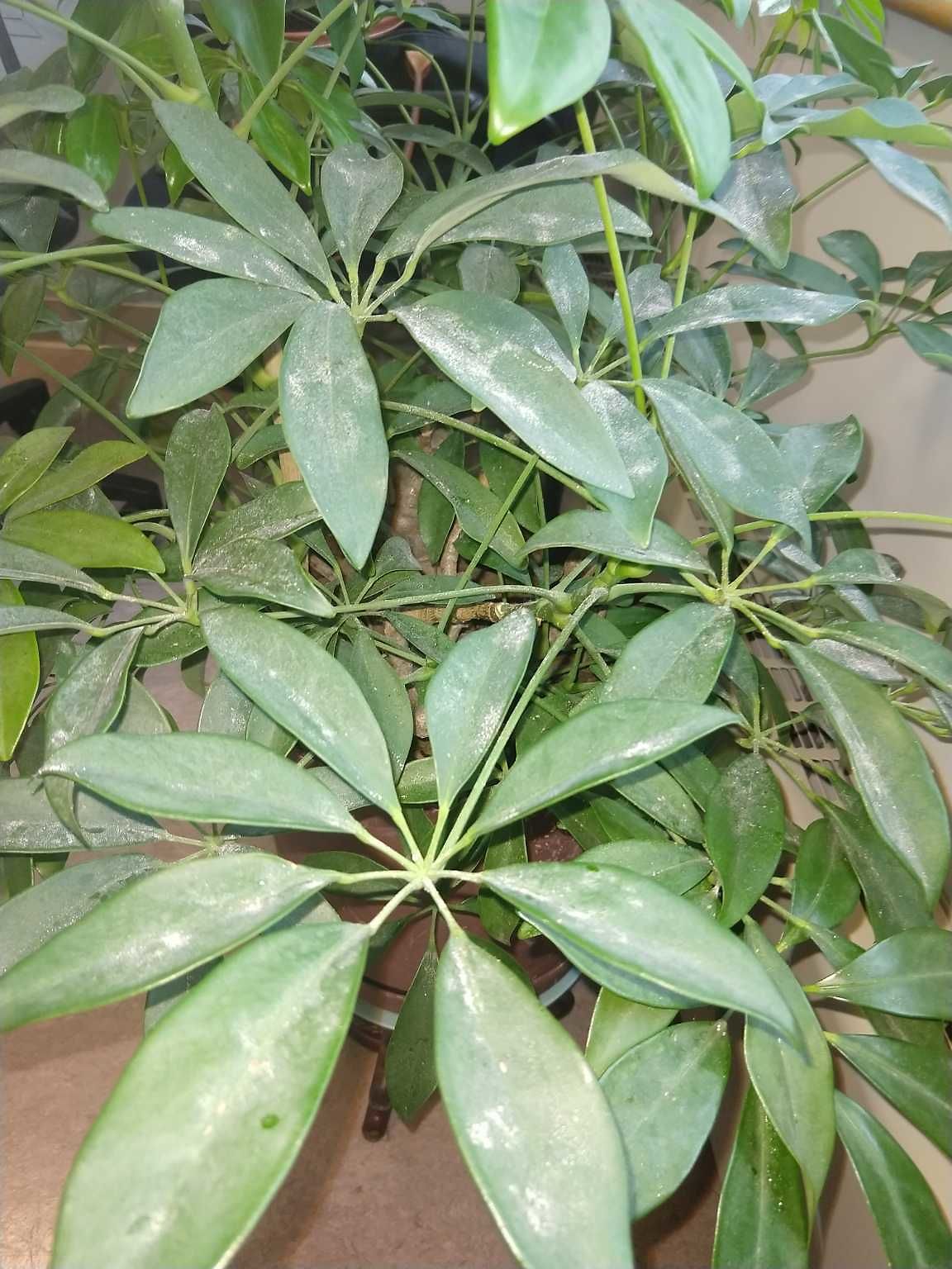 Photo_20200113_100656